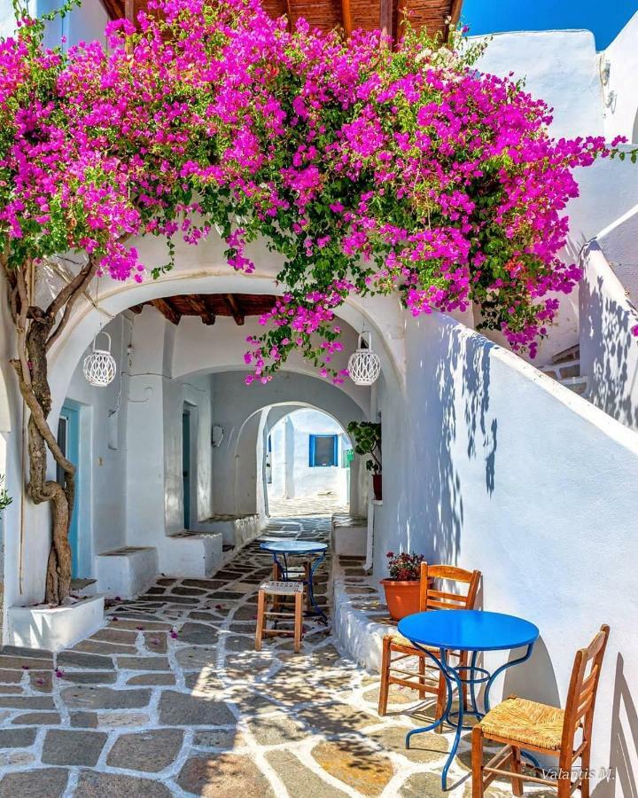 Villa Kavalli Paros Dhragoulas Exteriér fotografie