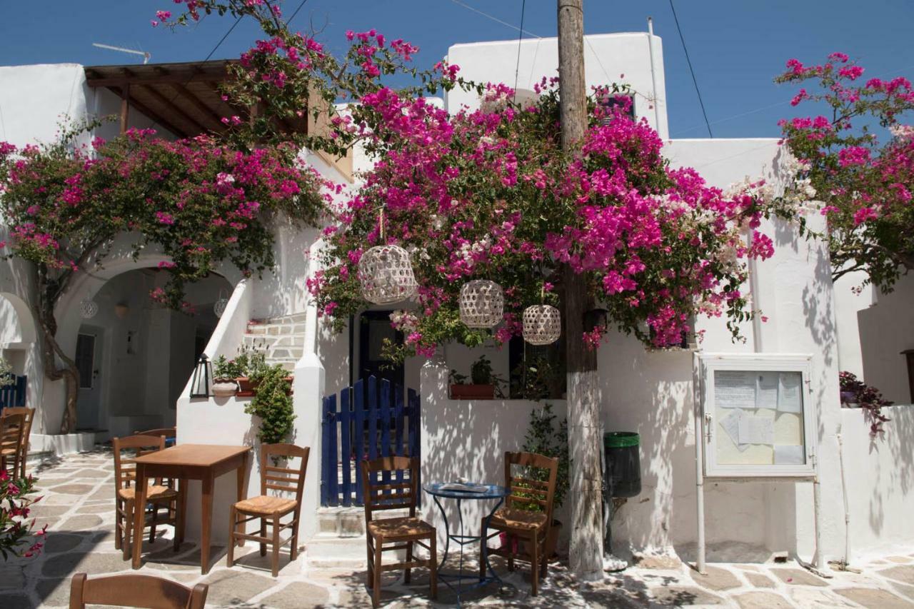 Villa Kavalli Paros Dhragoulas Exteriér fotografie